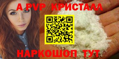 крисы Котовск