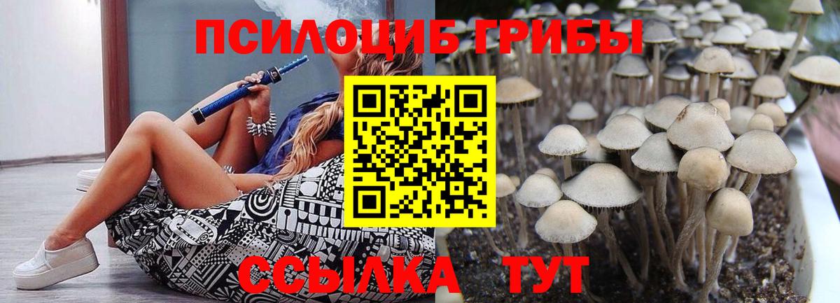 продажа наркотиков  Псилоцибиновые грибы MAGIC MUSHROOMS  Вход с VPN  Новотроицк 